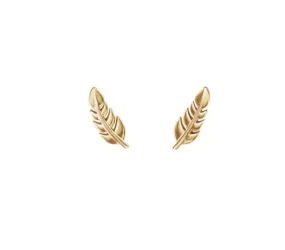 14k Leaf Studs