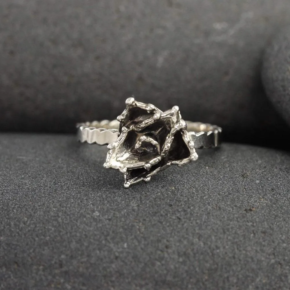 Agave Succulent Ring in Silver