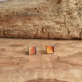 Carnelian Posts - Orange Carnelian Studs - Western Silver Posts - Silversmith Posts