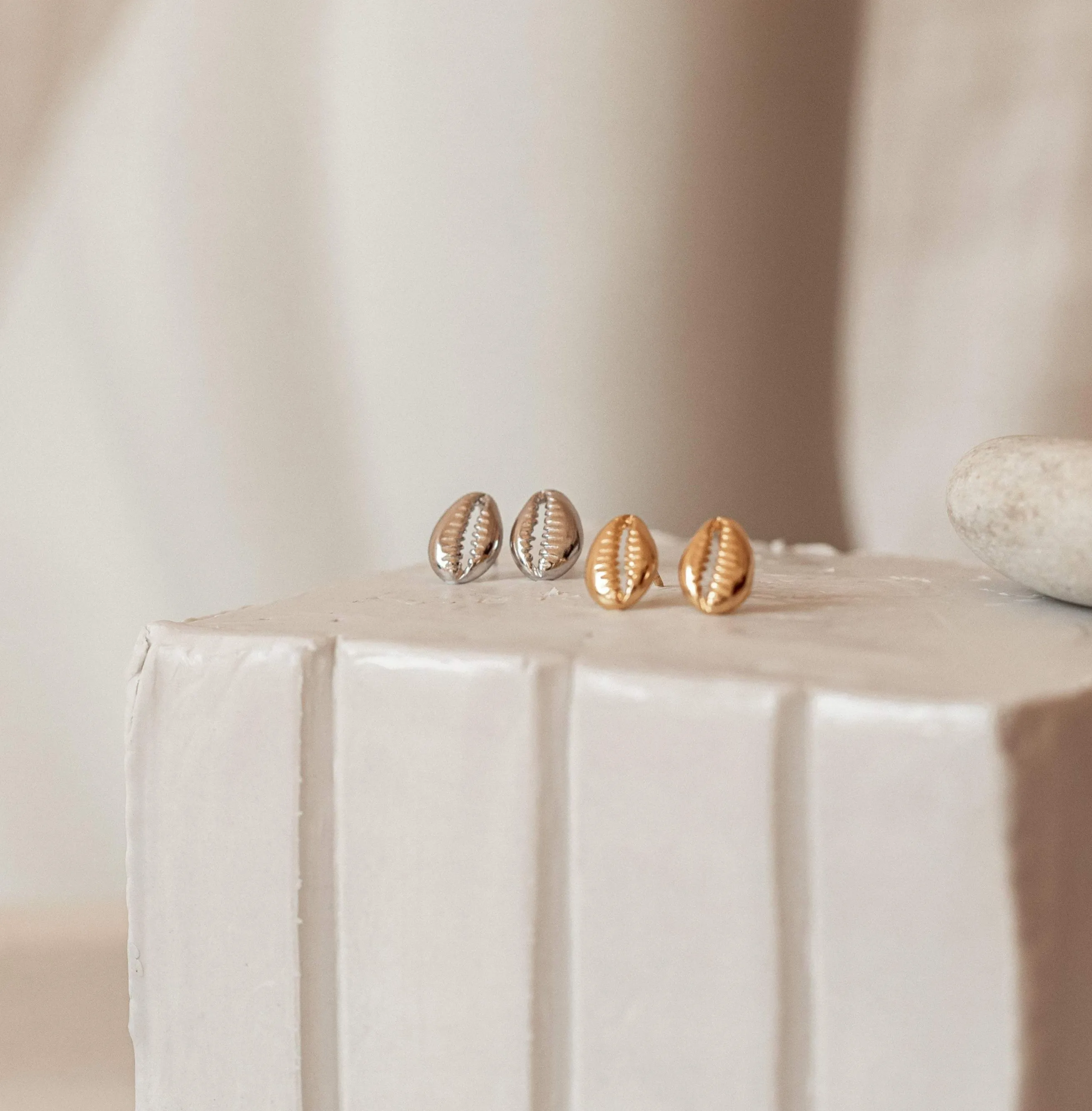 Cowry Shell Studs