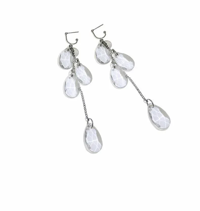 FN Simple Crystal Earrings Earrings LOJS2