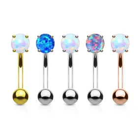 WILDKLASS 5 Pcs Value Pack Opal Prong Set Top 316L Surgical Steel Eyebrow Rings/Curved Barbells